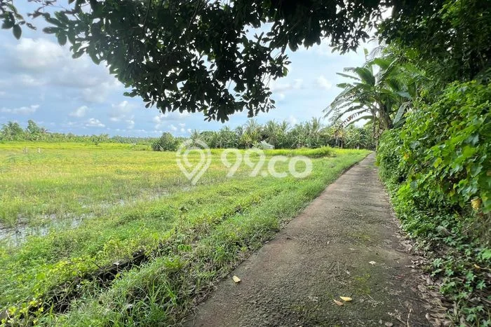 Tanah Kavling Dijual di Bantas, Tabanan dengan Luas Tanah 5000m2 Tanah Kavling Dijual di Bantas, Tabanan dengan Luas Tanah 5000m2