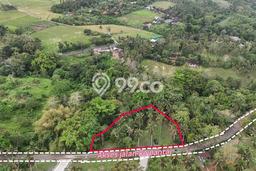 Kavling Tanah untuk Dijual di Lalanglinggah, Tabanan, Luas 1950m2 Kavling Tanah untuk Dijual di Lalanglinggah, Tabanan, Luas 1950m2
