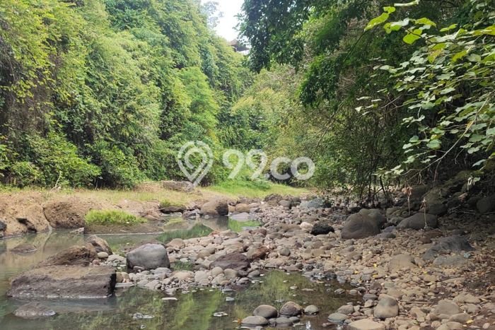 Tanah Investasi Dijual di Tabanan Punya Luas 1550m2 Tanah Investasi Dijual di Tabanan Punya Luas 1550m2