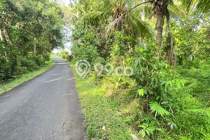 Jarang Ada! Tanah di Lalanglinggah Punya Luas 8170m2 SHM Jarang Ada! Tanah di Lalanglinggah Punya Luas 8170m2 SHM