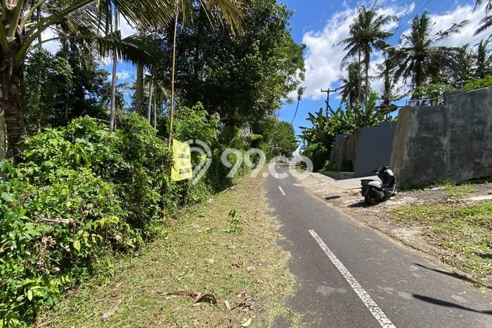 Lahan Kosong Dijual di Selemadeg, Tabanan, Luas 9120m2 Area Strategis Lahan Kosong Dijual di Selemadeg, Tabanan, Luas 9120m2 Area Strategis