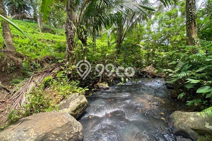 Tanah Strategis Dijual di Selemadeg Tabanan 5400m2 Tanah Strategis Dijual di Selemadeg Tabanan 5400m2