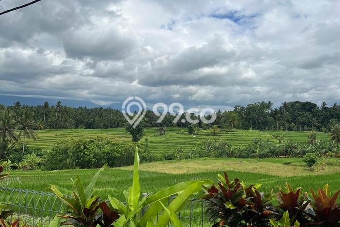Lahan Kosong Dijual di Tabanan dengan Area 2500m2 Lahan Kosong Dijual di Tabanan dengan Area 2500m2