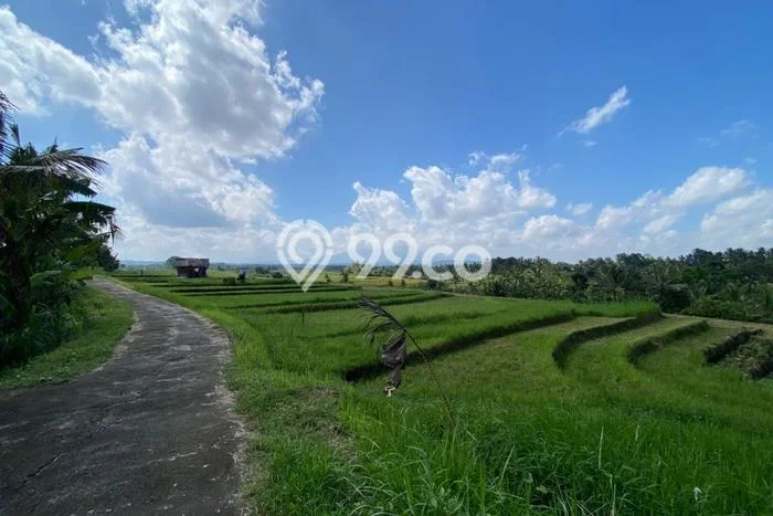 Tanah untuk Dijual di Selemadeg Tabanan Luas 600m2 Tanah untuk Dijual di Selemadeg Tabanan Luas 600m2