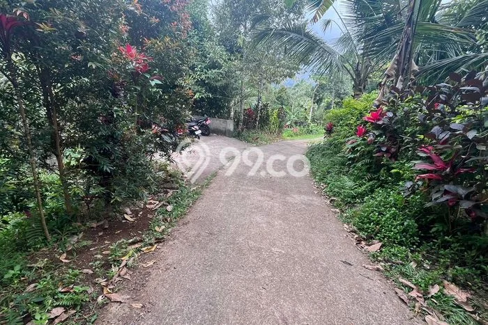 Tanah Kavling Dijual di Belimbing, Tabanan dengan Luas Tanah 900m2 Tanah Kavling Dijual di Belimbing, Tabanan dengan Luas Tanah 900m2