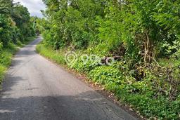 Tanah Dijual di Tabanan Seluas 11200m2 Strategis Tanah Dijual di Tabanan Seluas 11200m2 Strategis