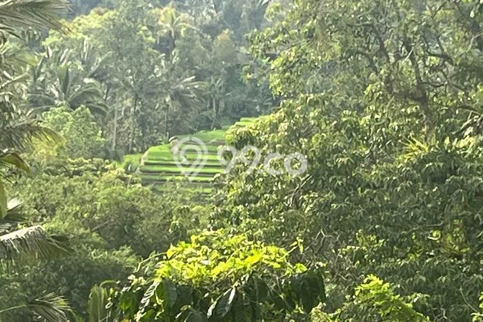 Tanah Kavling Dijual di Belimbing, Tabanan dengan Luas Tanah 12150m2 Tanah Kavling Dijual di Belimbing, Tabanan dengan Luas Tanah 12150m2