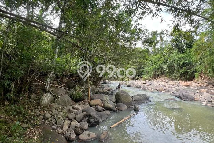 Lahan Dijual Lokasi Jegu, Tabanan dengan Luas Tanah 3800m2 dan Status SHM Lahan Dijual Lokasi Jegu, Tabanan dengan Luas Tanah 3800m2 dan Status SHM
