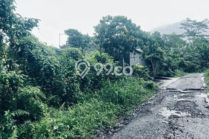 Tanah Kavling Dijual di Jatiluwih, Tabanan dengan Luas Tanah 1700m2 Tanah Kavling Dijual di Jatiluwih, Tabanan dengan Luas Tanah 1700m2