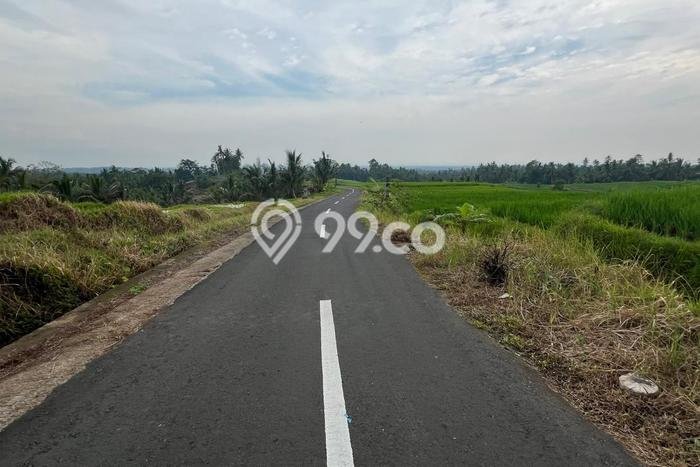 Kavling Tanah untuk Dijual di Gadungan, Tabanan, Luas 2300m2 Kavling Tanah untuk Dijual di Gadungan, Tabanan, Luas 2300m2