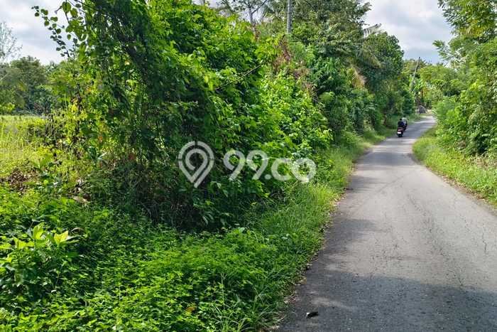 Tanah Dijual di Tabanan Seluas 11200m2 Strategis Tanah Dijual di Tabanan Seluas 11200m2 Strategis