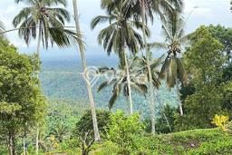 Dijual Tanah 1600m2 di Lumbung Kauh, Tabanan Dijual Tanah 1600m2 di Lumbung Kauh, Tabanan
