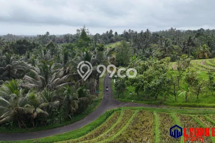Tanah Siap Bangun Dijual di Tabanan Punya Luas 14620m2 Tanah Siap Bangun Dijual di Tabanan Punya Luas 14620m2