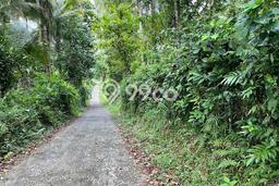 Dijual Tanah di Tabanan, Luas 6800m2 SHM Dijual Tanah di Tabanan, Luas 6800m2 SHM