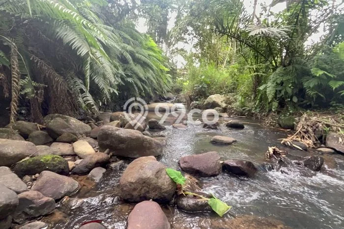 Tanah Kavling Dijual di Belimbing, Tabanan dengan Luas Tanah 12150m2 Tanah Kavling Dijual di Belimbing, Tabanan dengan Luas Tanah 12150m2