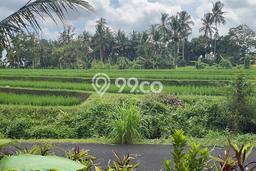 Tanah Kavling Dijual di Tabanan dengan Spesifikasi 1250m2 Tanah Kavling Dijual di Tabanan dengan Spesifikasi 1250m2