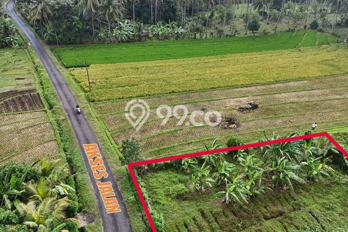 Tanah Dijual di Tabanan Seluas 500m2 Strategis Tanah Dijual di Tabanan Seluas 500m2 Strategis