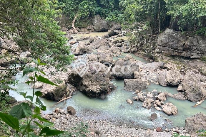 Kavling Tanah Dijual di Kerambitan Tabanan Spesifikasi 1200m2 Kavling Tanah Dijual di Kerambitan Tabanan Spesifikasi 1200m2