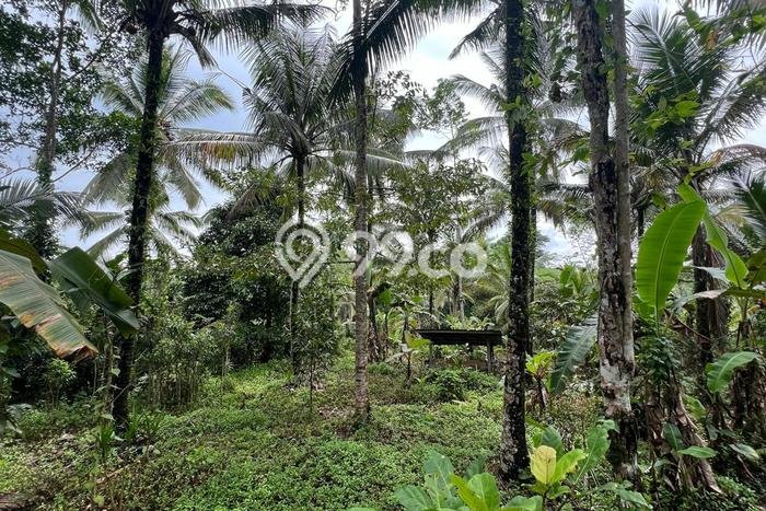 Lahan untuk Dijual Lokasi Penebel, Tabanan Luas 4500m2 SHM Lahan untuk Dijual Lokasi Penebel, Tabanan Luas 4500m2 SHM