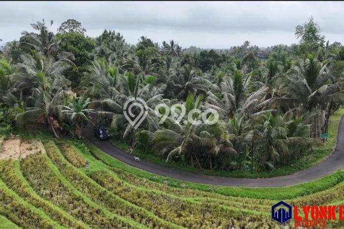 Tanah Siap Bangun Dijual di Tabanan Punya Luas 14620m2 Tanah Siap Bangun Dijual di Tabanan Punya Luas 14620m2