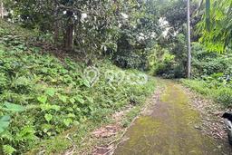Tanah Dijual Lokasi Selemadeg, Tabanan dengan Luas Tanah 3000m2 dan Status SHM Tanah Dijual Lokasi Selemadeg, Tabanan dengan Luas Tanah 3000m2 dan Status SHM