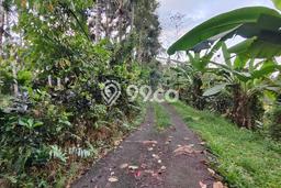 Lahan Kosong Dijual di Tabanan dengan Area 3770m2 Lahan Kosong Dijual di Tabanan dengan Area 3770m2