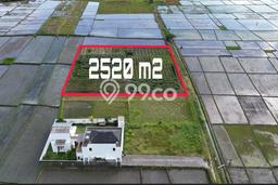 Lahan Kosong Dijual di Kerambitan, Tabanan, Luas 2520m2 Area Strategis Lahan Kosong Dijual di Kerambitan, Tabanan, Luas 2520m2 Area Strategis
