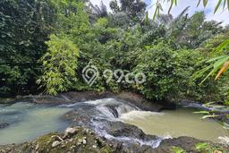 Kavling Tanah Dijual di Selemadeg Tabanan Spesifikasi 4400m2 Kavling Tanah Dijual di Selemadeg Tabanan Spesifikasi 4400m2