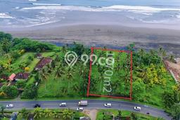 Tanah Dijual Lokasi Negara Jembrana SHM Tanah Dijual Lokasi Negara Jembrana SHM