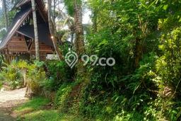 Jarang Ada! Tanah di Selemadeg Punya Luas 11500m2 SHM Jarang Ada! Tanah di Selemadeg Punya Luas 11500m2 SHM