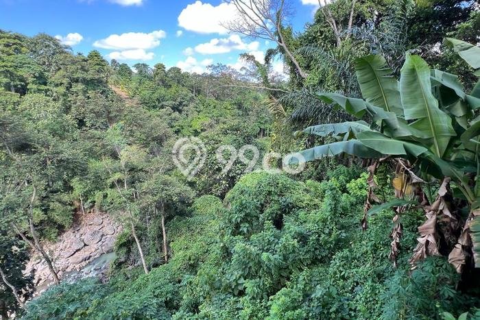 Tanah Komersial Dijual di Kerambitan Tabanan 2800m2 Tanah Komersial Dijual di Kerambitan Tabanan 2800m2