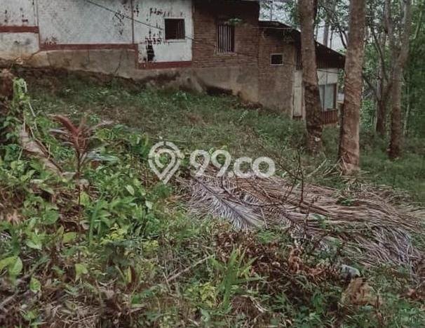Kavling Tanah Dijual di Pameungpeuk Garut Spesifikasi 30000m2 Kavling Tanah Dijual di Pameungpeuk Garut Spesifikasi 30000m2