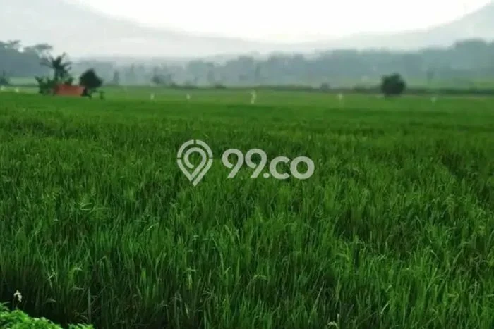 Tanah Dijual Lokasi Tarogong Kaler, Garut dengan Luas Tanah 5321m2 dan Status SHM Tanah Dijual Lokasi Tarogong Kaler, Garut dengan Luas Tanah 5321m2 dan Status SHM