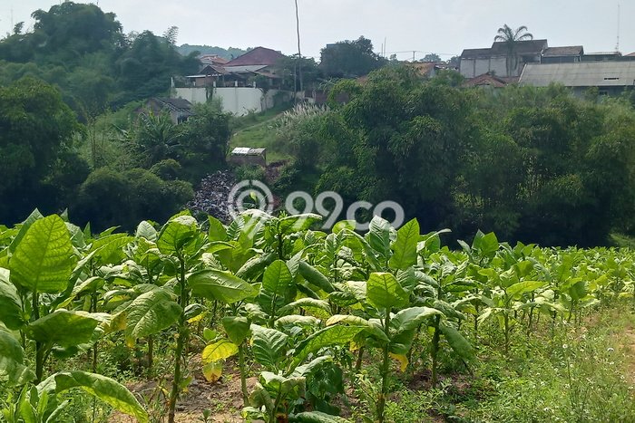 Tanah Dijual Lokasi Strategis di Bandung dengan Luas 30000m2 Tanah Dijual Lokasi Strategis di Bandung dengan Luas 30000m2