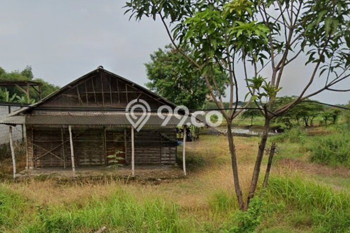Lahan untuk Dijual Lokasi Wringinanom, Gresik Luas 7250m2 SHM Lahan untuk Dijual Lokasi Wringinanom, Gresik Luas 7250m2 SHM