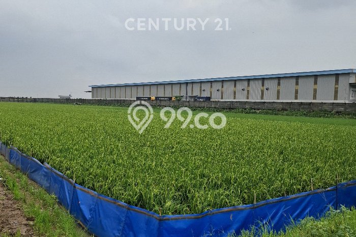 Tanah Dijual Lokasi Karawang Barat, Karawang Luas 40000m2 Legalitas Aman Tanah Dijual Lokasi Karawang Barat, Karawang Luas 40000m2 Legalitas Aman