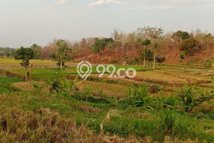 Kavling Tanah Dijual di Pacet, Mojokerto, Luas 1939m2 Area Strategis Kavling Tanah Dijual di Pacet, Mojokerto, Luas 1939m2 Area Strategis