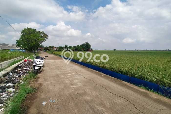Lahan Dijual Lokasi Tempuran, Karawang dengan Luas Tanah 12515m2 dan Status SHM Lahan Dijual Lokasi Tempuran, Karawang dengan Luas Tanah 12515m2 dan Status SHM