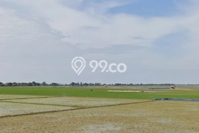 Tanah Dijual Lokasi Pedes, Karawang Luas 10329m2 Legalitas Aman Tanah Dijual Lokasi Pedes, Karawang Luas 10329m2 Legalitas Aman