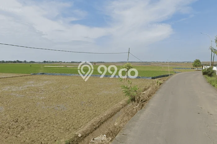 Tanah Dijual Lokasi Pedes, Karawang Luas 10329m2 Legalitas Aman Tanah Dijual Lokasi Pedes, Karawang Luas 10329m2 Legalitas Aman