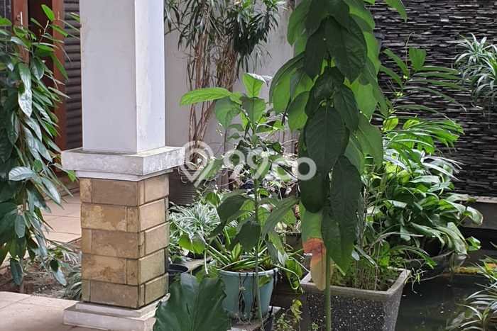 Rumah Modern 5 Kamar LT 117m2 di BSD Nusaloka Rumah Modern 5 Kamar LT 117m2 di BSD Nusaloka
