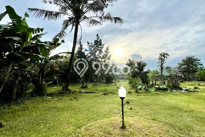 Tanah untuk Dijual Lokasi Pamulang, Tangerang Selatan Luas 1665m2 SHM Tanah untuk Dijual Lokasi Pamulang, Tangerang Selatan Luas 1665m2 SHM