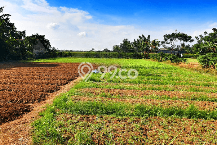 Lahan Kosong Dijual di Bekasi dengan Area 2478m2 Lahan Kosong Dijual di Bekasi dengan Area 2478m2