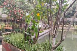 Kavling Tanah Dijual di Cilodong Depok Spesifikasi 3925m2 Kavling Tanah Dijual di Cilodong Depok Spesifikasi 3925m2