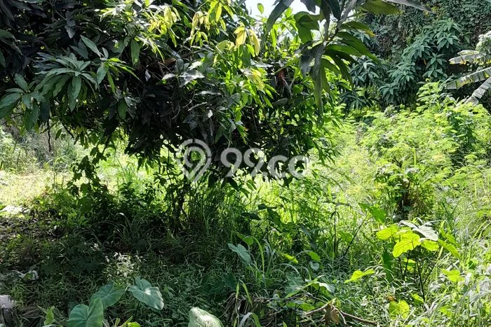 Tanah Komersial Dijual di Bekasi Utara Bekasi 1200m2 Tanah Komersial Dijual di Bekasi Utara Bekasi 1200m2