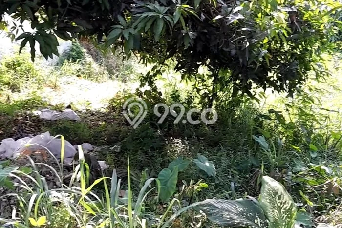 Tanah Komersial Dijual di Bekasi Utara Bekasi 1200m2 Tanah Komersial Dijual di Bekasi Utara Bekasi 1200m2