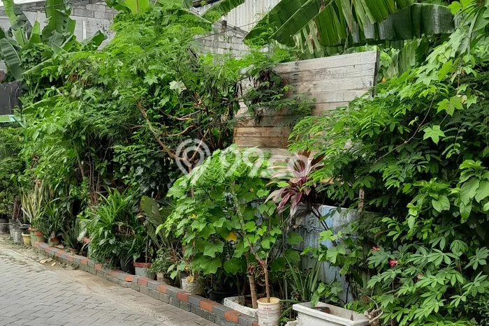 Tanah Kavling untuk Disewa di Cipondoh Tangerang 800m2 Tanah Kavling untuk Disewa di Cipondoh Tangerang 800m2