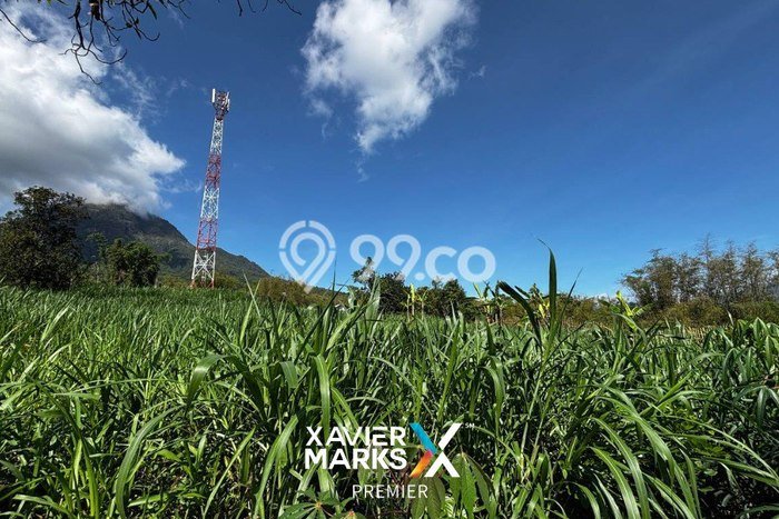 Tanah Strategis Dijual di Batu Batu 1652m2 Tanah Strategis Dijual di Batu Batu 1652m2