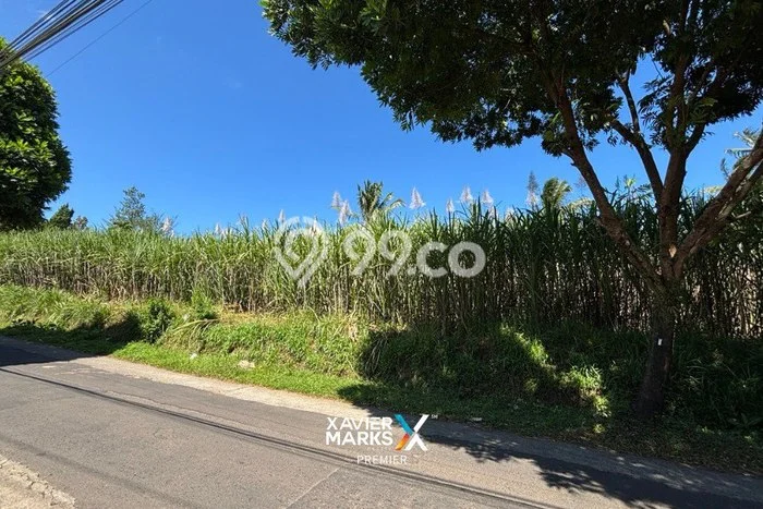 Jarang Ada! Tanah di Dampit Punya Luas 58750m2 SHM Jarang Ada! Tanah di Dampit Punya Luas 58750m2 SHM