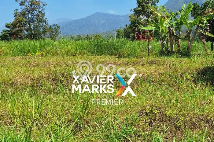 Lahan Kosong Dijual di Batu, Batu, Luas 1652m2 Area Strategis Lahan Kosong Dijual di Batu, Batu, Luas 1652m2 Area Strategis